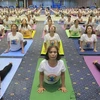 Provincia vietnamita acoge Día Internacional del Yoga