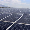 Planta de energía solar de Sharp entrará en operación en Vietnam