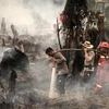 Indonesia declara estado de emergencia por incendios forestales en Kalimantan