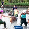 Provincia vietnamita de Quang Ninh apunta a desarrollar el turismo comunitario