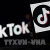 TikTok participa en digitalización de pequeñas y medianas empresas indonesias