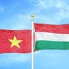 Vietnam felicita a Hungría por el Día Nacional
