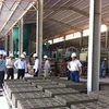 Ratifican Estrategia para el desarrollo de materiales de construcción en Vietnam