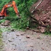 Provincia vietnamita de Ca Mau declara situación de emergencia por deslizamientos de tierra