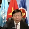 Vietnam pide pleno cumplimiento de alto el fuego global convocado por la ONU