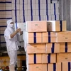 Vietnam exporta primer lote de camarones a la Unión Europea bajo EVFTA