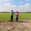 Provincia vietnamita de Tra Vinh se enfrasca en superar la sequía e intrusión salina