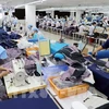 Exportaciones textiles de Vietnam a la Unión Económica Asiática en peligro de superar el umbral especificado