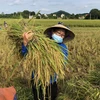 Vietnam traza 17 objetivos de desarrollo sostenible hasta 2030