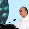 Premier de Vietnam exige mayores esfuerzos para garantizar cultivo eficiente de macadamia