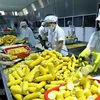 Vietnam y Países Bajos buscan impulsar el comercio de frutas y verduras