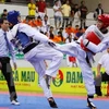 Corea del Sur respalda a Vietnam en desarrollo de Taekwondo