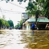 Conmemoran Día Internacional para la Reducción del Riesgo de Desastres en Hanoi