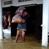 Premier vietnamita exige mayores esfuerzos frente a la tormenta Nangka y las intensas lluvias