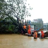 Instan a prestar apoyo en Vietnam a pobladores afectados por inundaciones