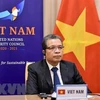 Vietnam se compromete a contribuir al mantenimiento de paz en Golfo Pérsico