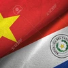 Felicita Vietnam al nuevo ministro de Relaciones Exteriores de Paraguay