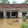 Asisten a localidades vietnamitas afectadas por inundaciones en saneamiento ambiental