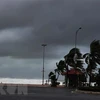 Exhortan a provincias centrales de Vietnam a prepararse ante el super tifón Goni