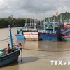 Tifón Goni avanza hacia la costa vietnamita