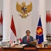 Presidente de Indonesia propone impulsar la digitalización en el contexto de COVID-19