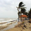 Desastres naturales provocan pérdidas de 43 millones de dólares para Ca Mau 