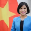 Promueve Vietnam cooperación internacional en el desminado humanitario