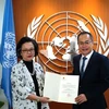 Aprecia órgano de ONU avances de Vietnam en impulso de desarrollo sostenible