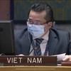 Vietnam expresa preocupaciones sobre espiral de violencia en la República Democrática del Congo