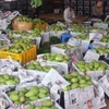 Camboya exporta primer lote de mango fresco a China