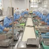 Exportaciones de productos acuícolas de Vietnam a China enfrentan dificultades por el COVID-19