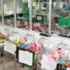 Vietnam enfrentará el envejecimiento poblacional para 2026