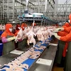 Entra en operación mayor planta procesadora avícola en el Sudeste Asiático 