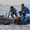 Indonesia: Prolongan labores de búsqueda del avión estrellado
