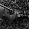 Exportaciones de carbón de Indonesia caen más 30 por ciento en 2020