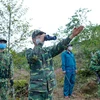 Soldados vietnamitas de guardia fronteriza cumplen deberes de proteger la Patria 
