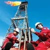 Producción de petróleo y gas de empresa vietnamita alcanza 5,4 millones de barriles