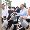 Primer ministro de Vietnam lanza campaña de plantación de árboles en ocasión del Tet