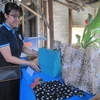 “Residuos cero” podría crear más de 18 mil nuevos empleos para Ciudad Ho Chi Minh