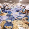 Estados Unidos sigue siendo el mayor receptor de productos agroforestales de Vietnam 