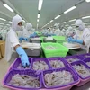 Vietnam apunta a convertirse en el principal productor de camarones del mundo 