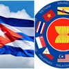 Cuba evalúa potencialidades de cooperación con la ASEAN