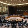 Vietnam e India dialogan sobre cuestiones del Consejo de Seguridad de la ONU