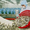 Vietnam, el mayor proveedor de camarones a Japón