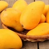 Aumenta precio del mango de Vietnam exportado a Estados Unidos