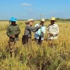 Cuba desea recibir inversiones vietnamitas en agricultura 