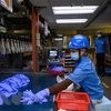 ASEAN y Corea del Sur refuerzan cooperación en trabajo y empleo 