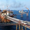 Fitch Ratings eleva perspectiva del Grupo de Petróleo y Gas de Vietnam