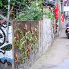Pared hecha de materiales reciclables embellece aldea vietnamita 