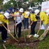 Lanzan en provincia vietnamita programa de plantación de árboles